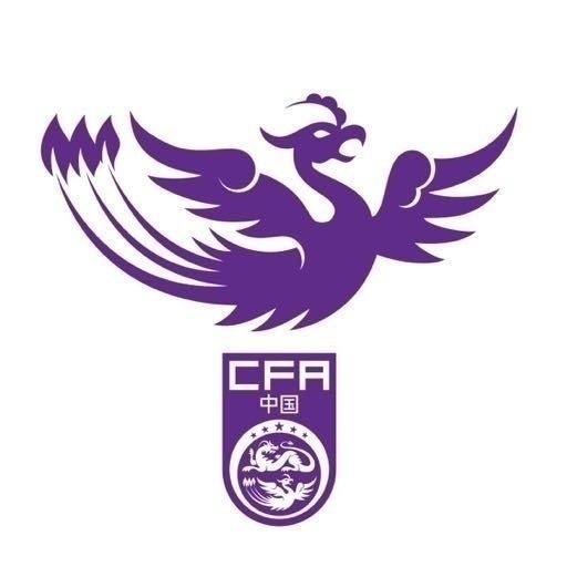 津媒：U17女足明日起兩戰日本定位整體實力，默契度有提升空間
